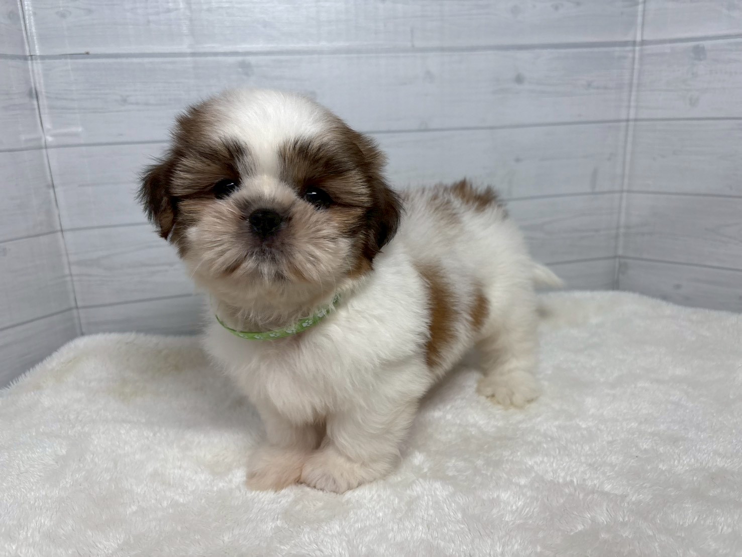 赤ちゃん写真3-1