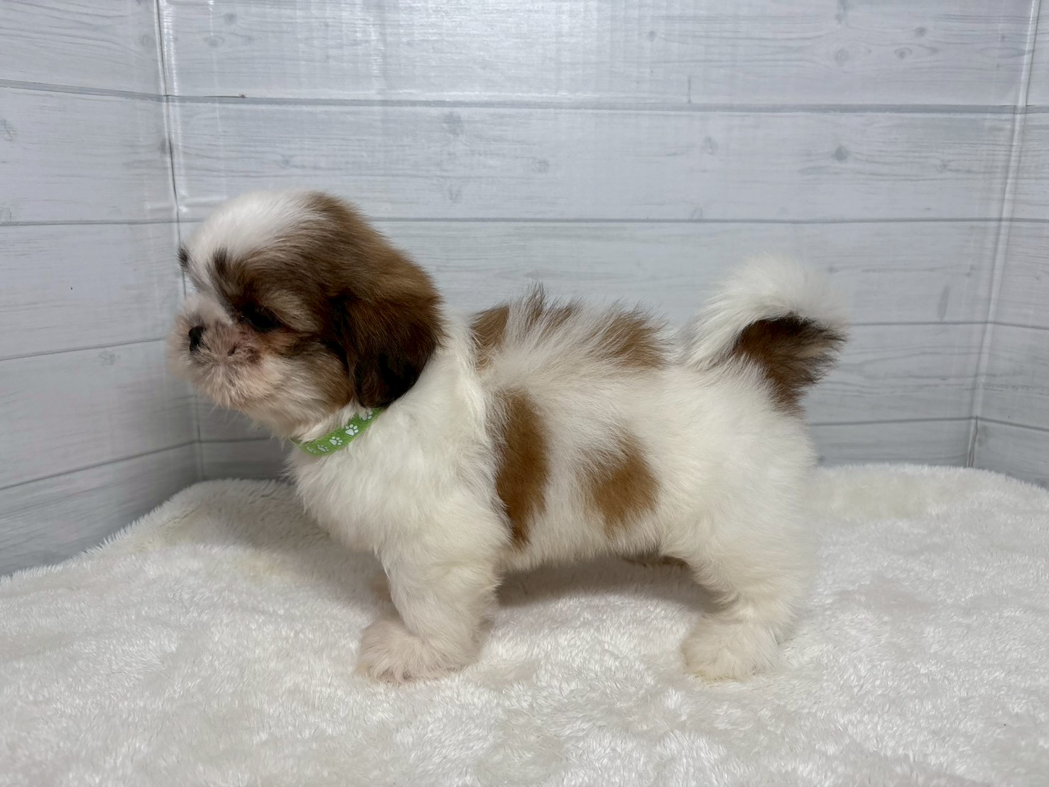 赤ちゃん写真3-2