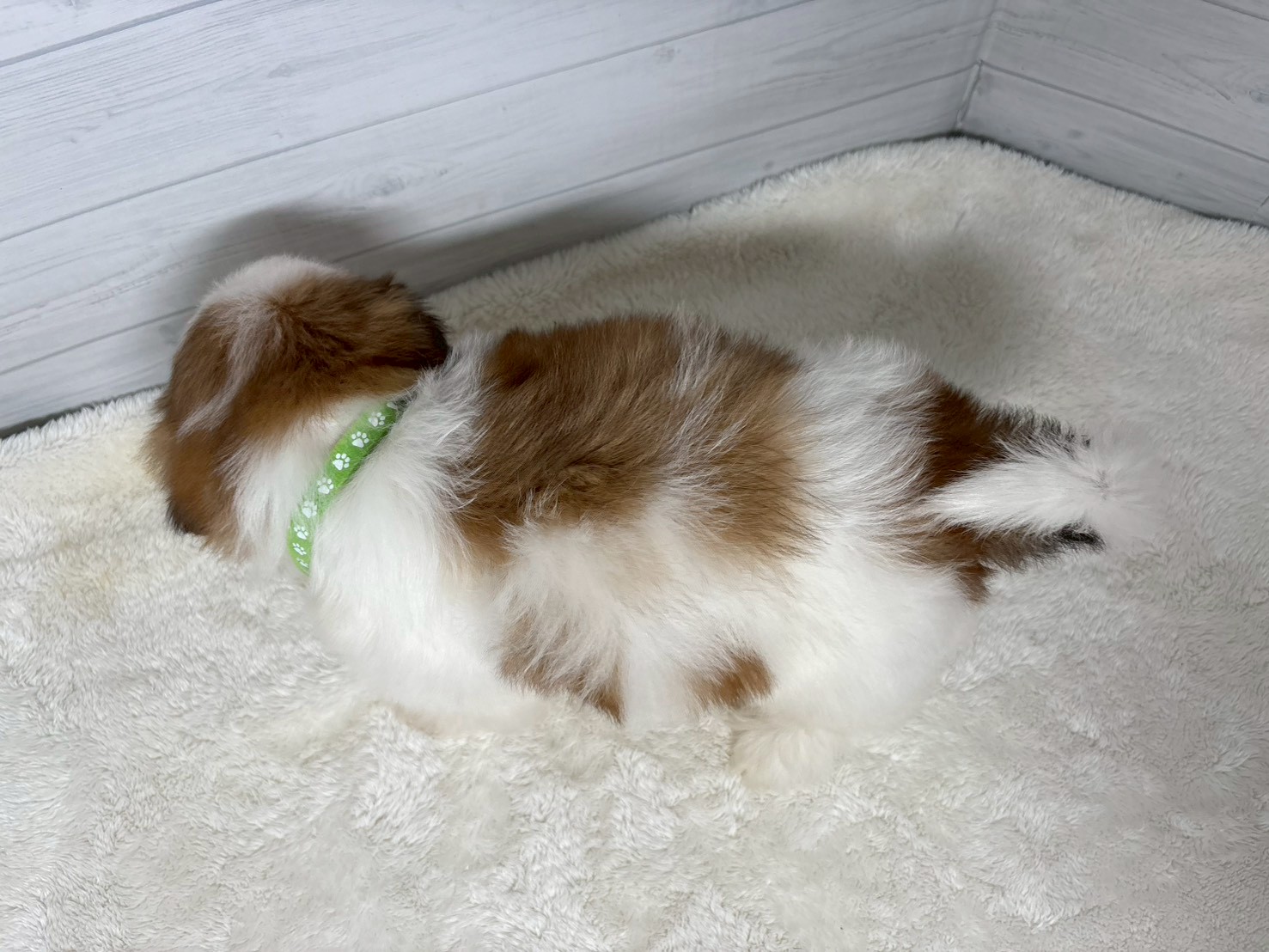 赤ちゃん写真3-3