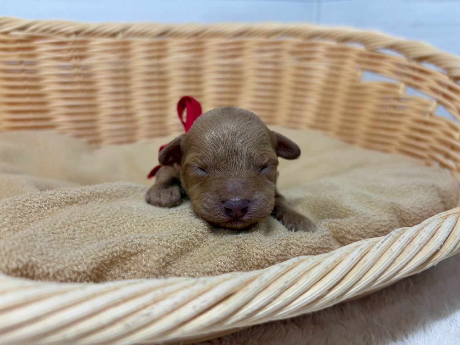 赤ちゃん写真1-1