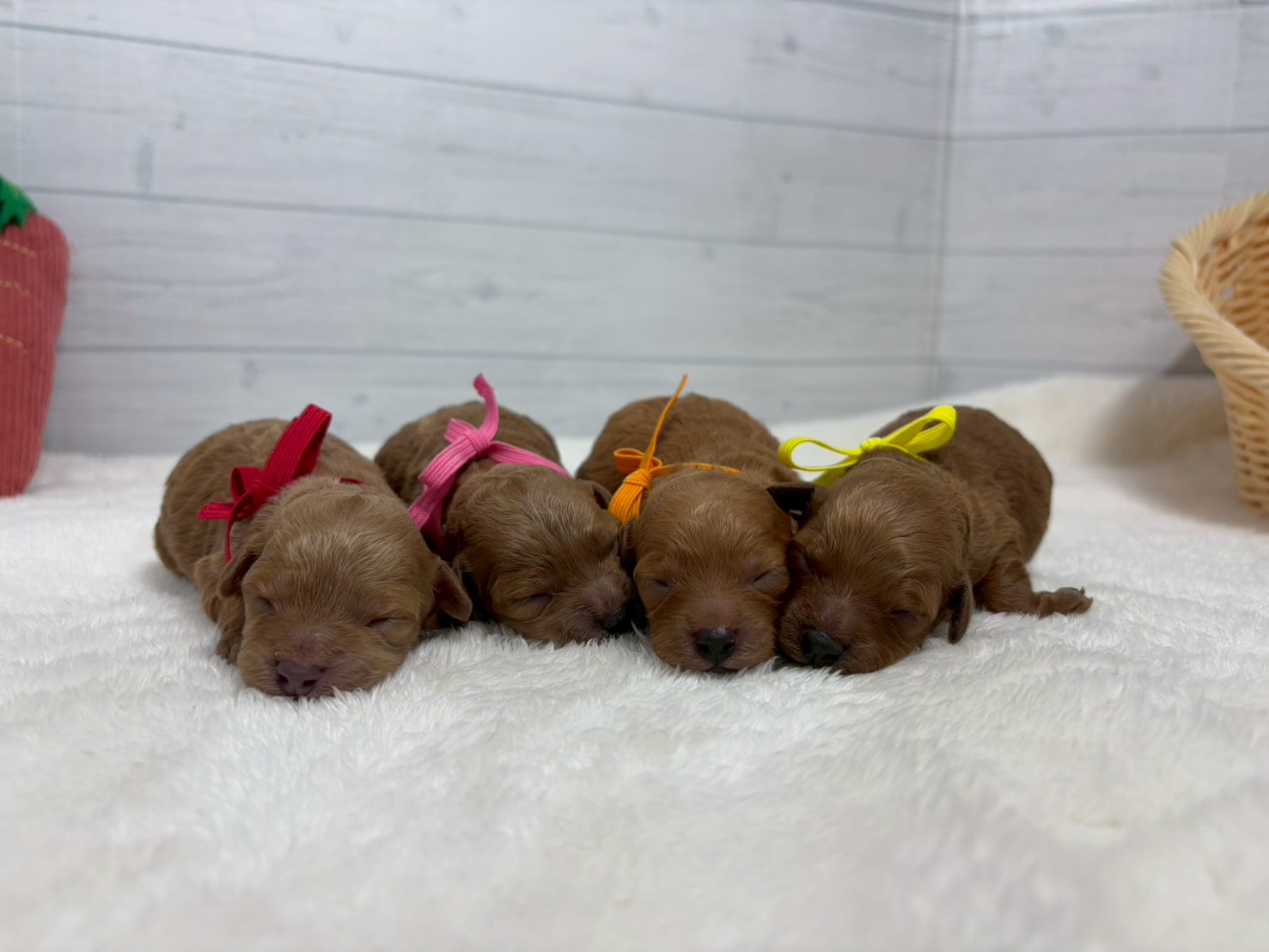 赤ちゃん写真1-3