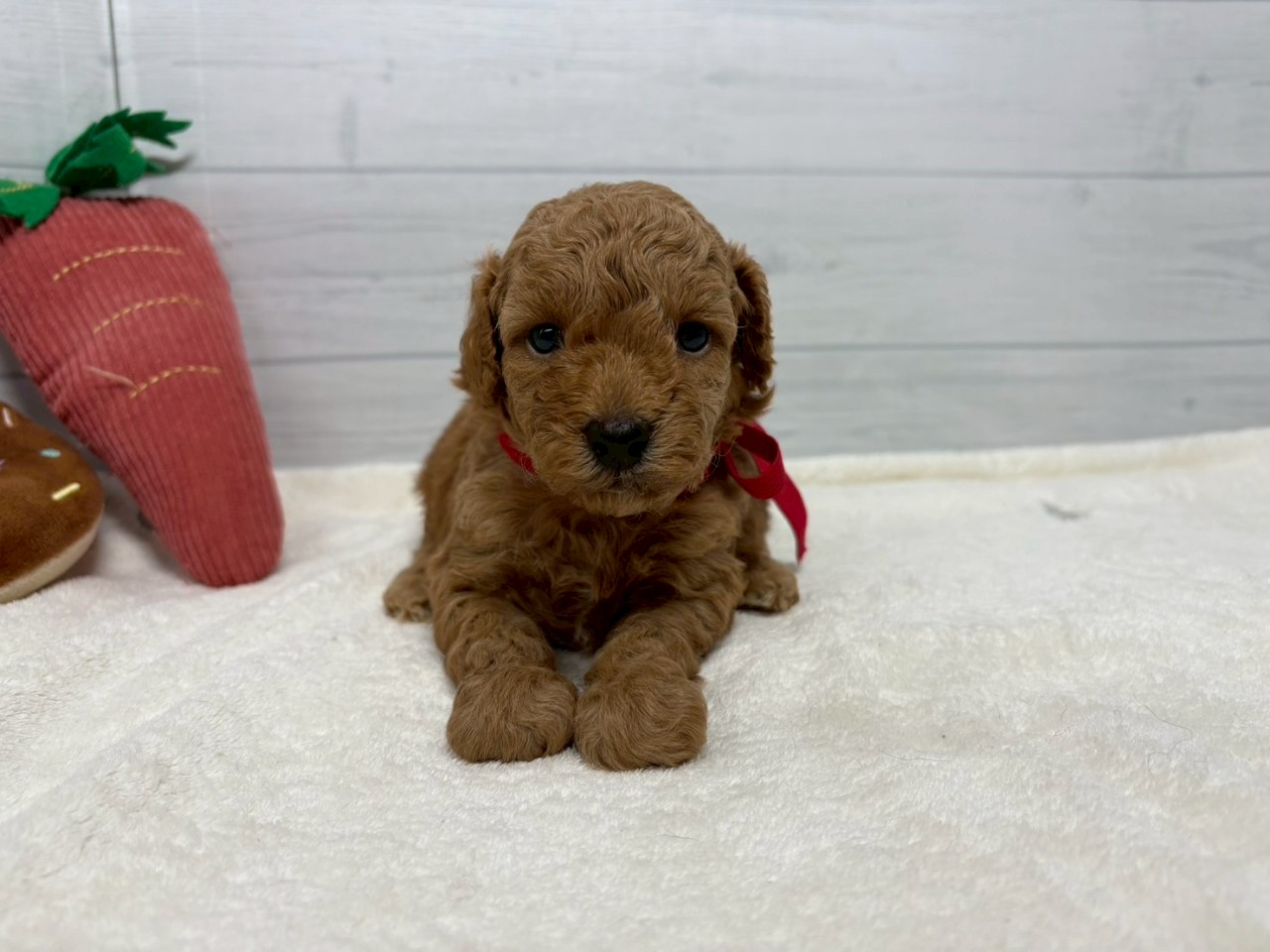 赤ちゃん写真2-1