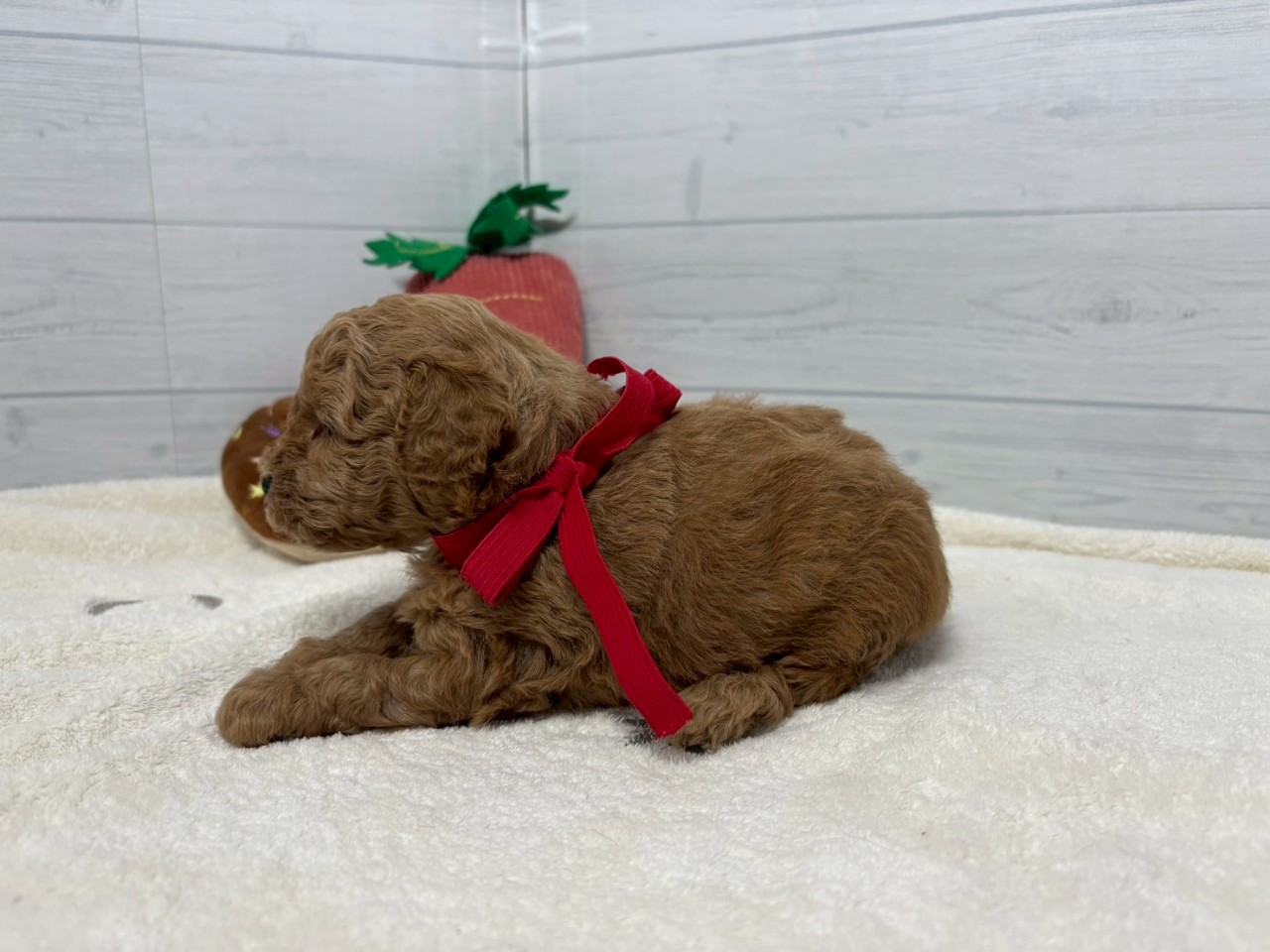 赤ちゃん写真2-2