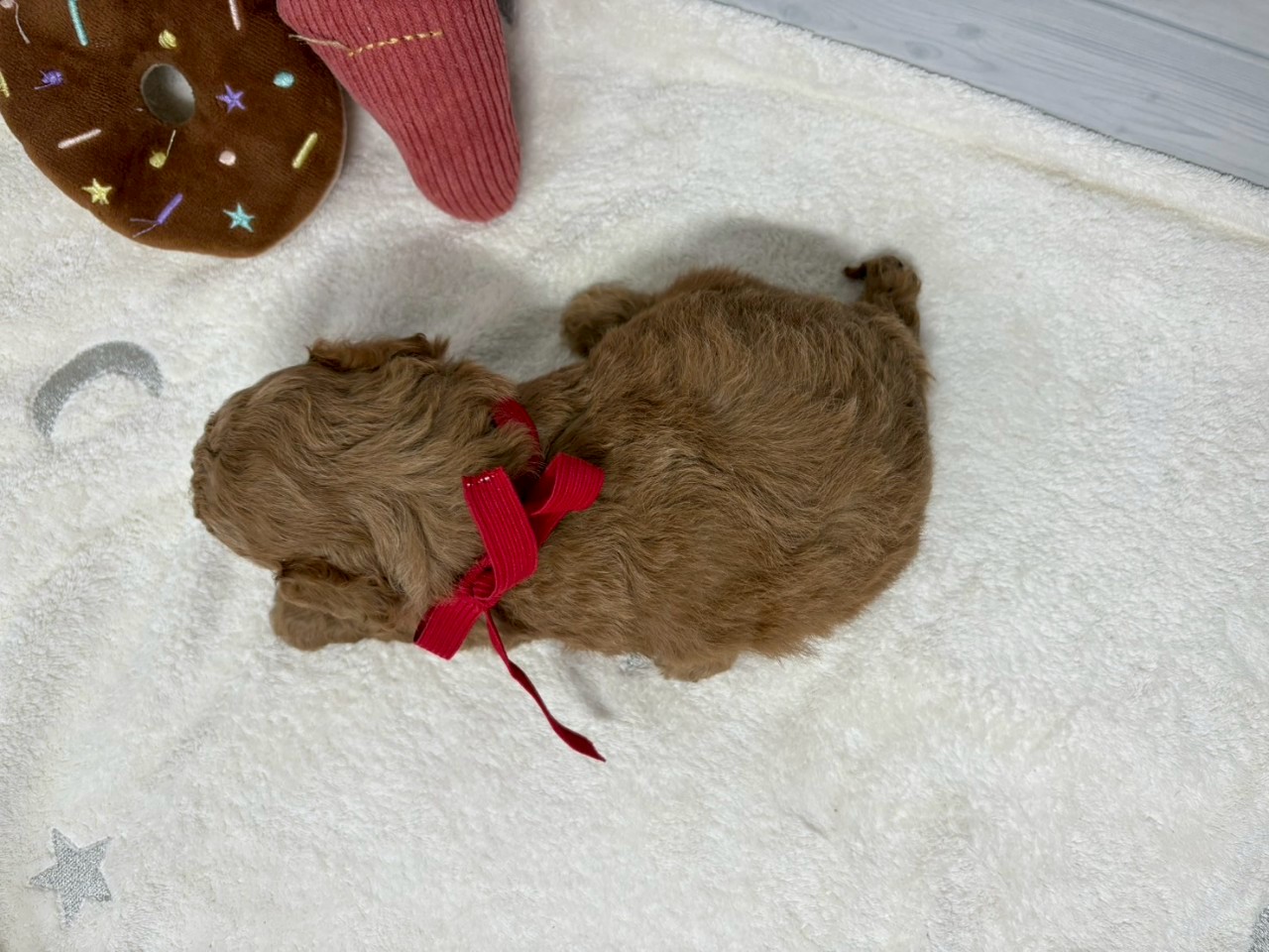 赤ちゃん写真2-3