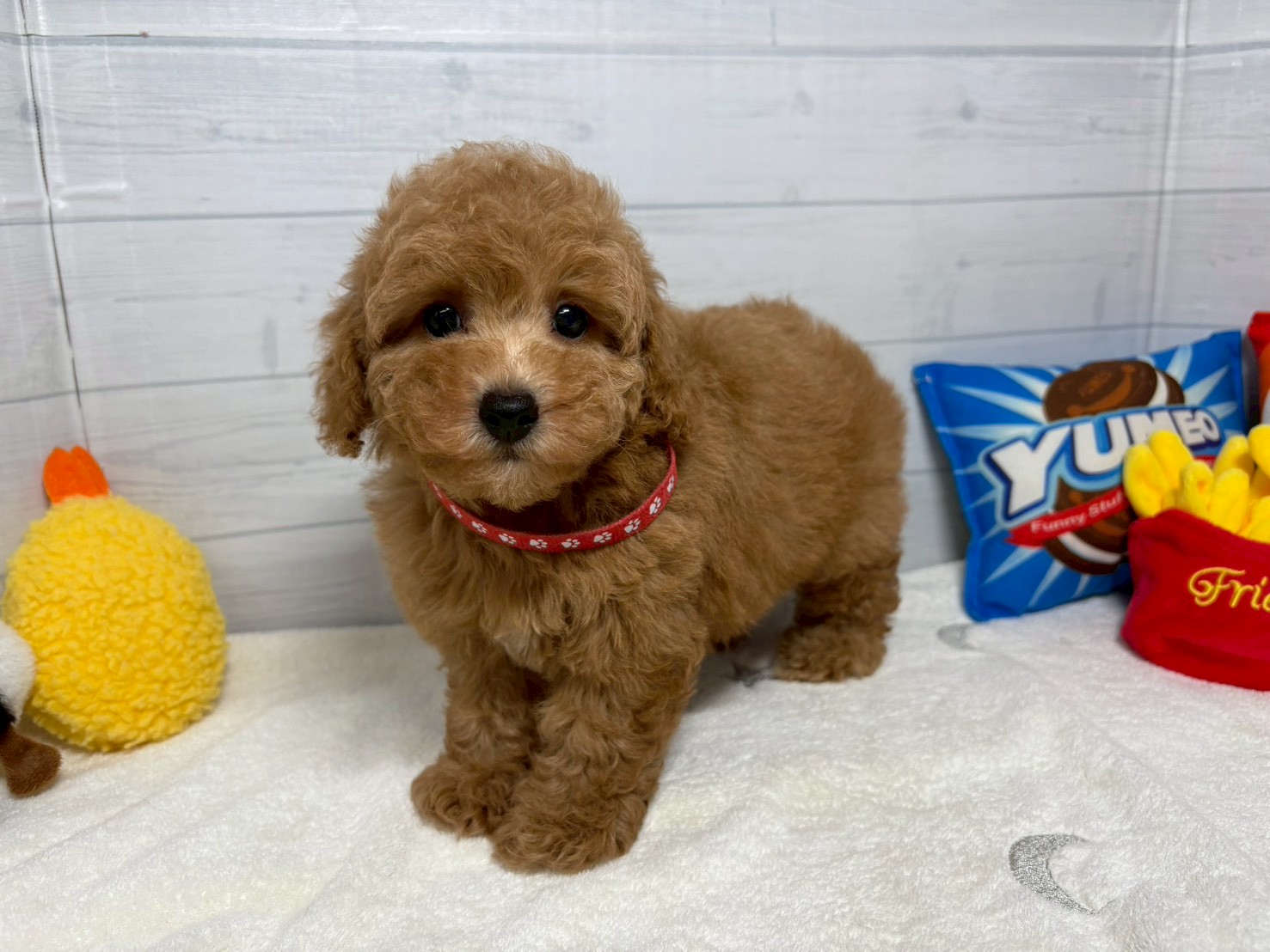 赤ちゃん写真3-1