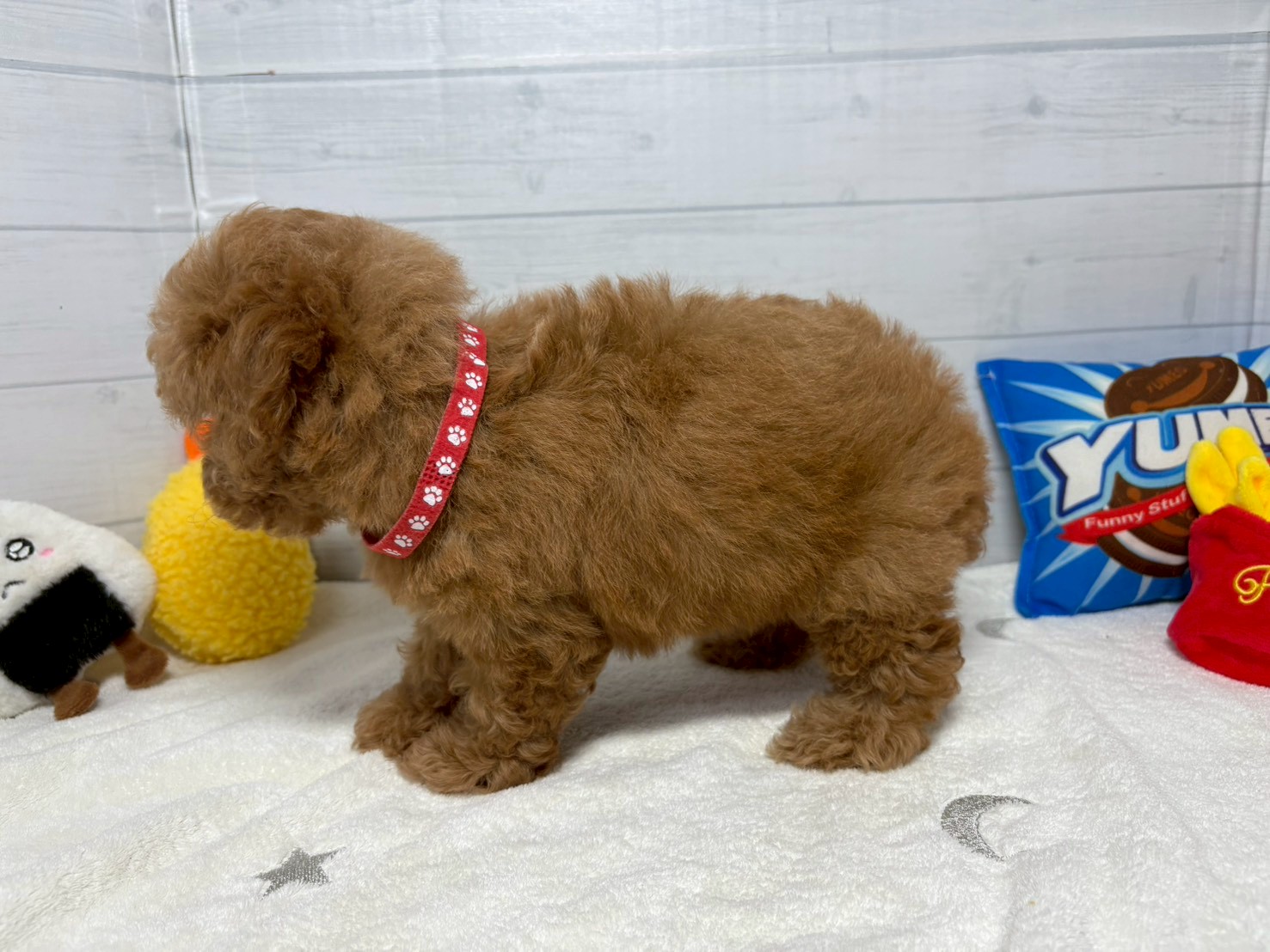 赤ちゃん写真3-2