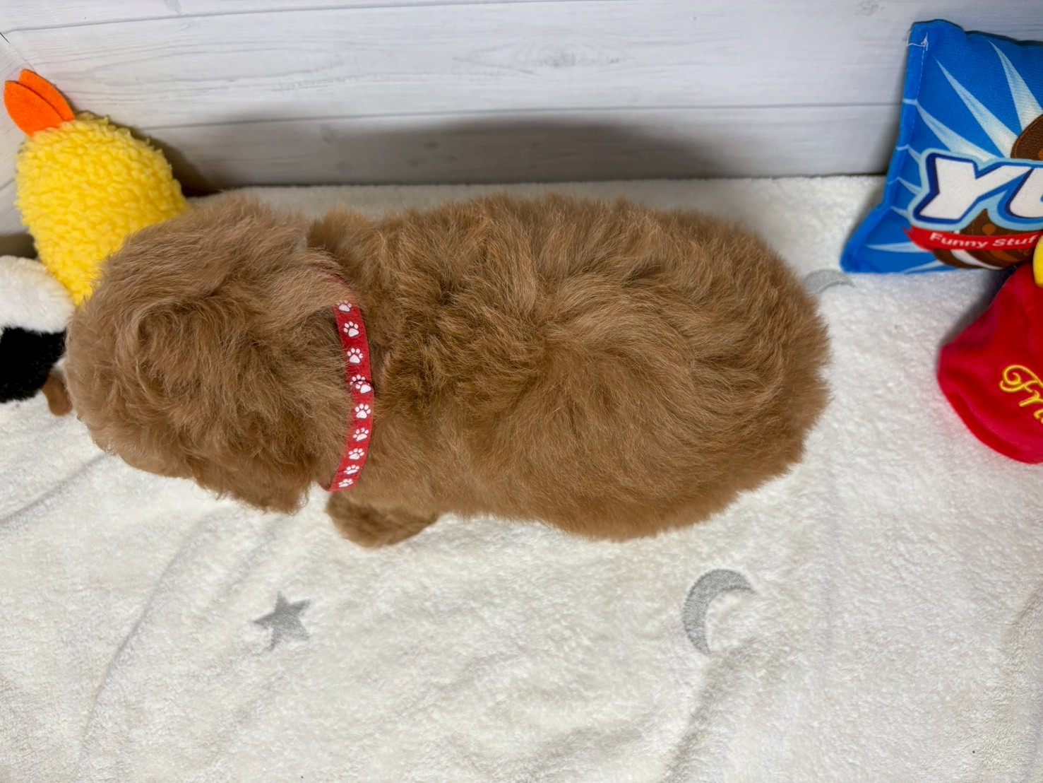 赤ちゃん写真3-3