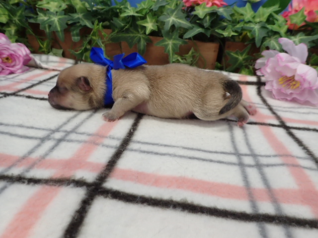 赤ちゃん写真1-2