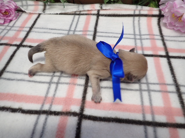 赤ちゃん写真1-3