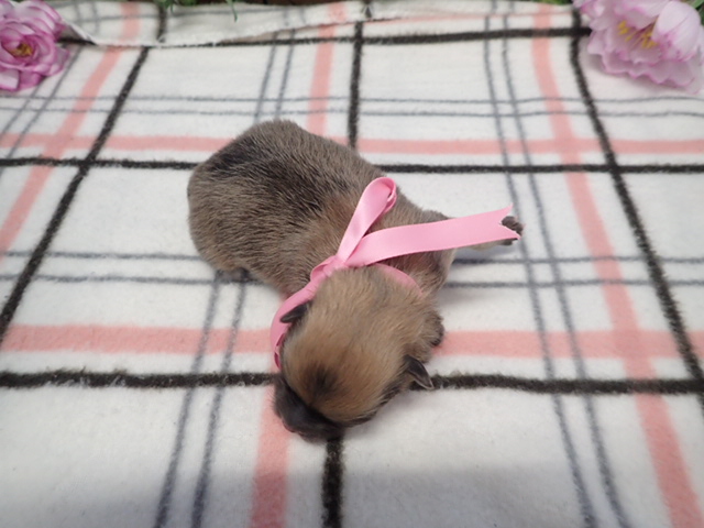 赤ちゃん写真1-3