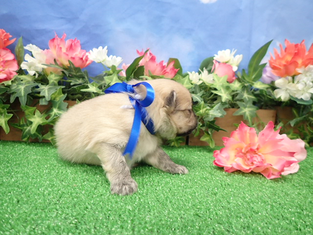 赤ちゃん写真2-2