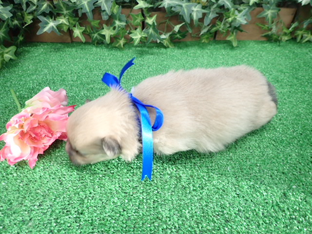 赤ちゃん写真2-3