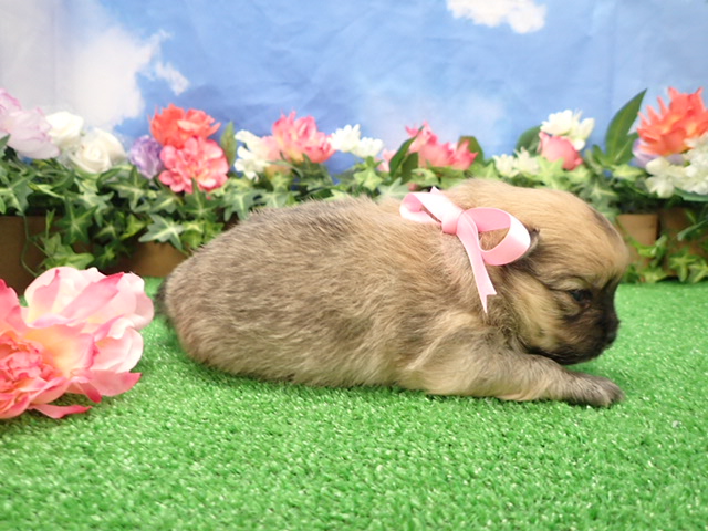 赤ちゃん写真2-2