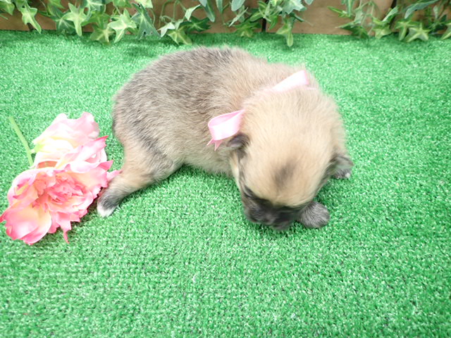 赤ちゃん写真2-3