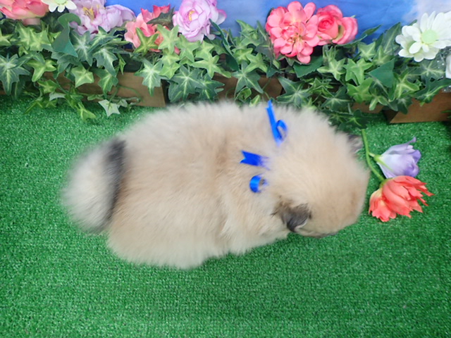 赤ちゃん写真3-3