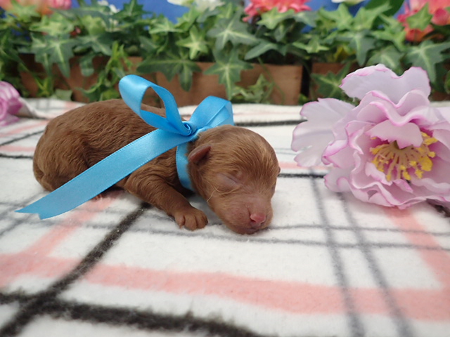 赤ちゃん写真1-2