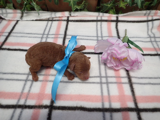 赤ちゃん写真1-3