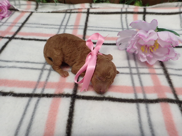 赤ちゃん写真1-3