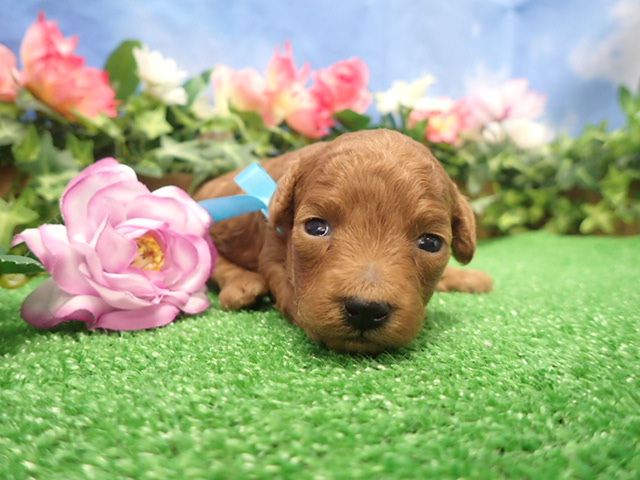 赤ちゃん写真2-1