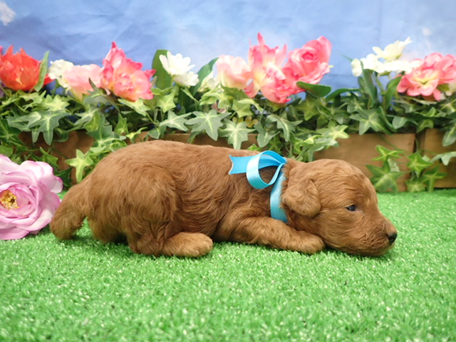 赤ちゃん写真2-2