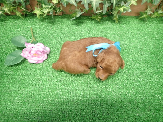 赤ちゃん写真2-3