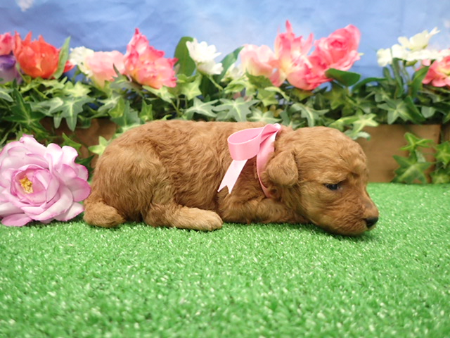 赤ちゃん写真2-2