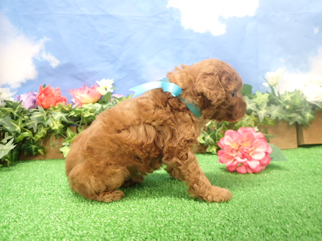 赤ちゃん写真3-2