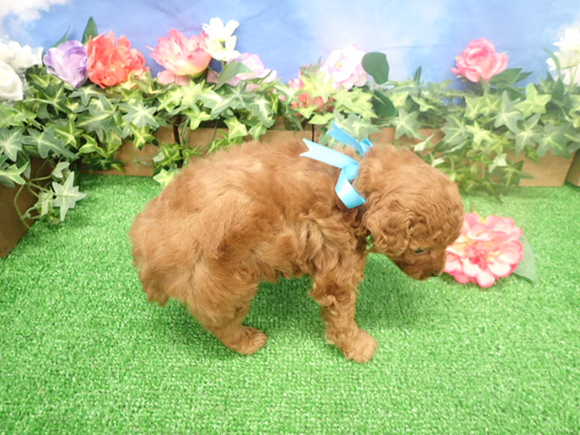 赤ちゃん写真3-3