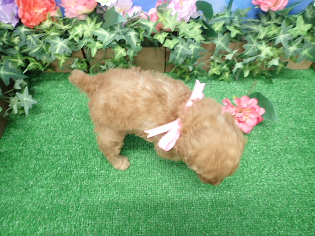 赤ちゃん写真3-3