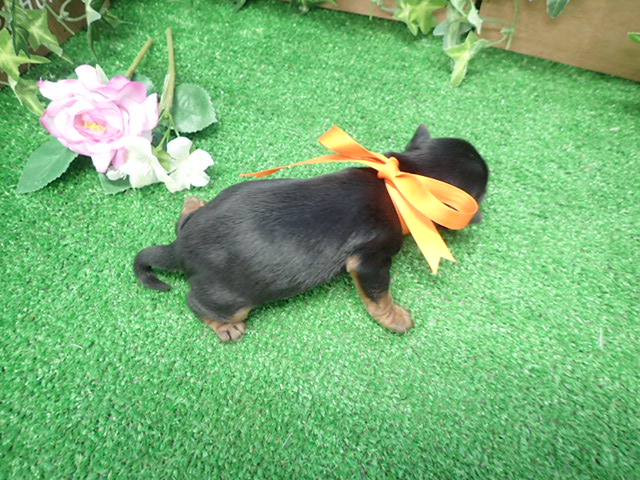 赤ちゃん写真1-3