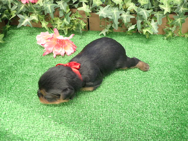 赤ちゃん写真2-3