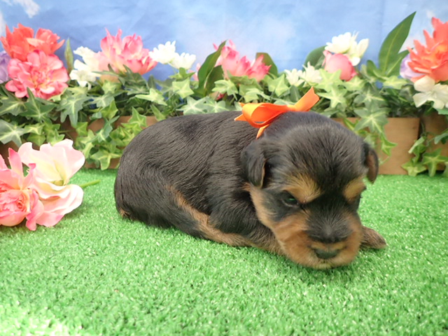 赤ちゃん写真2-2