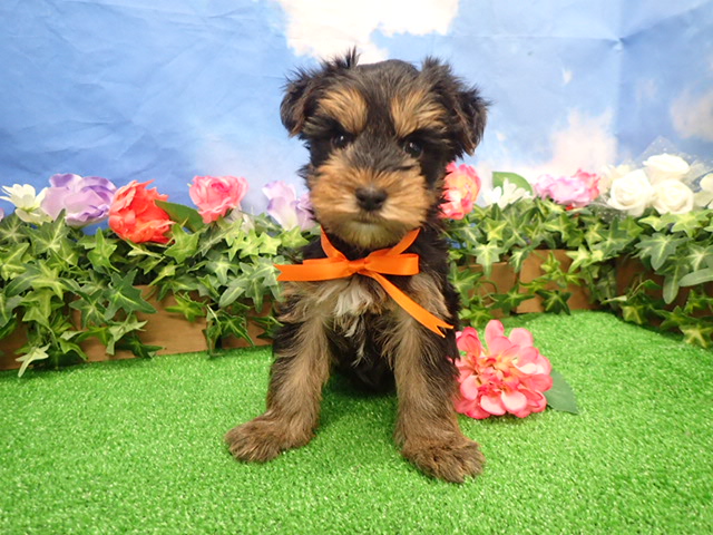 赤ちゃん写真3-1