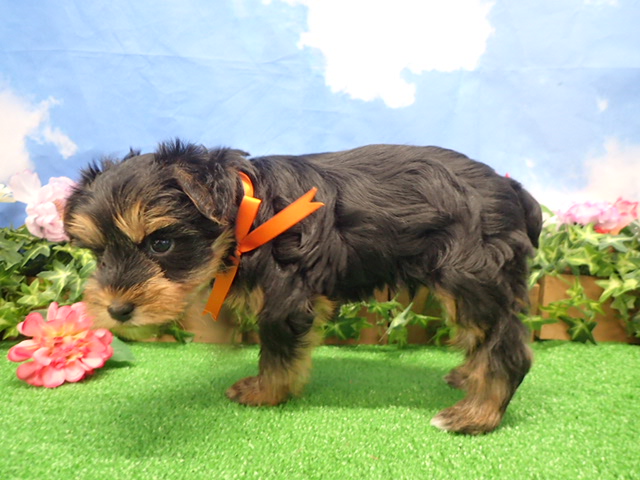 赤ちゃん写真3-2