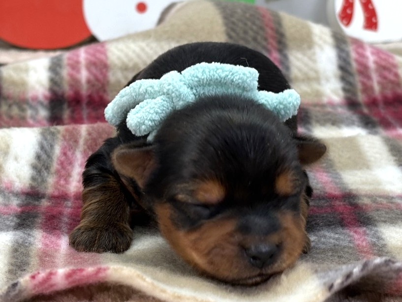 赤ちゃん写真1-1