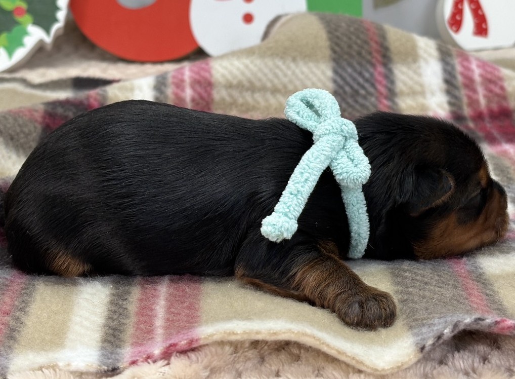 赤ちゃん写真1-2