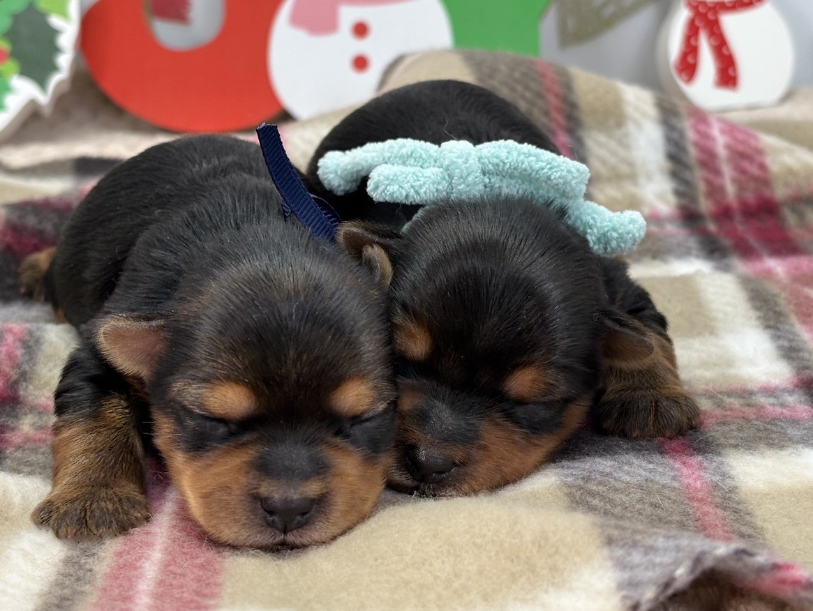 赤ちゃん写真1-3