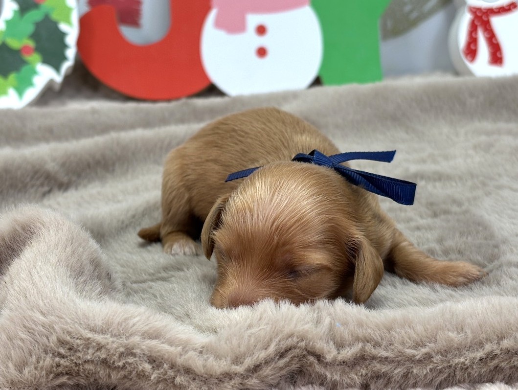 赤ちゃん写真1-1