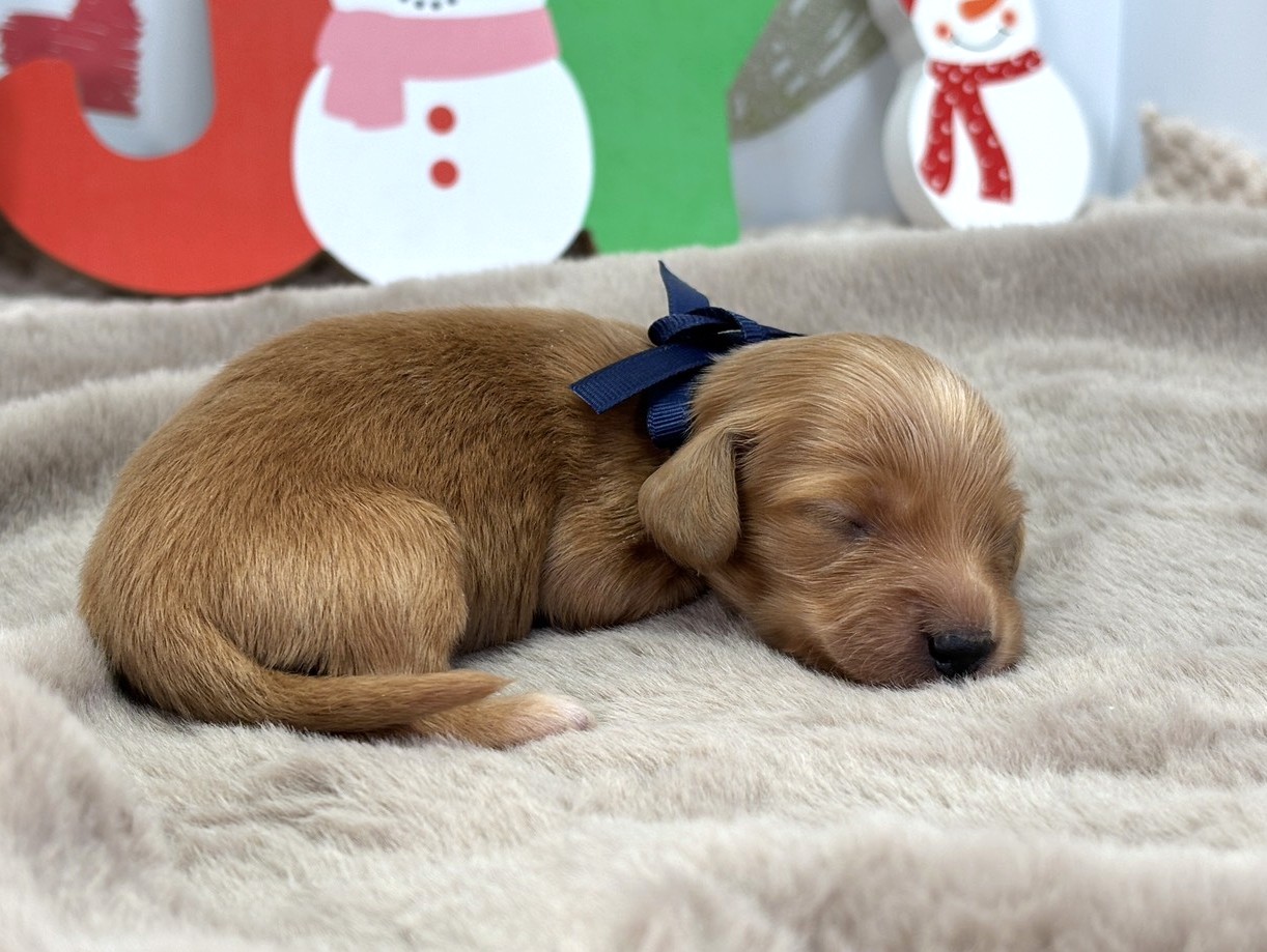 赤ちゃん写真1-2