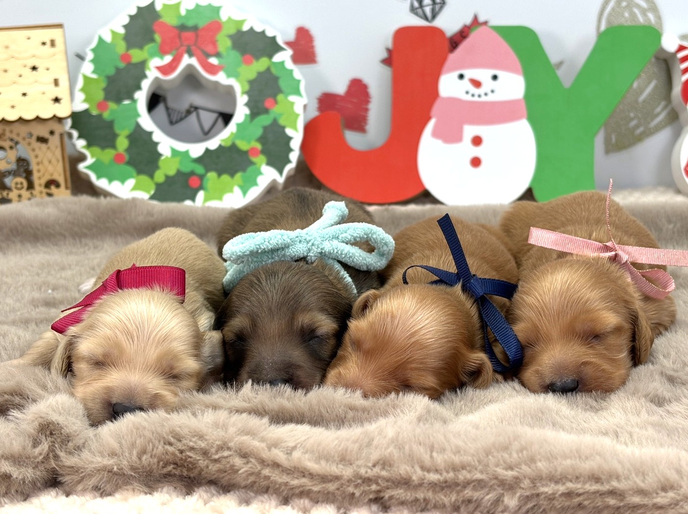 赤ちゃん写真1-3