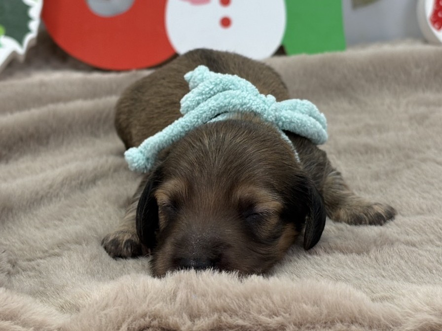 赤ちゃん写真1-1