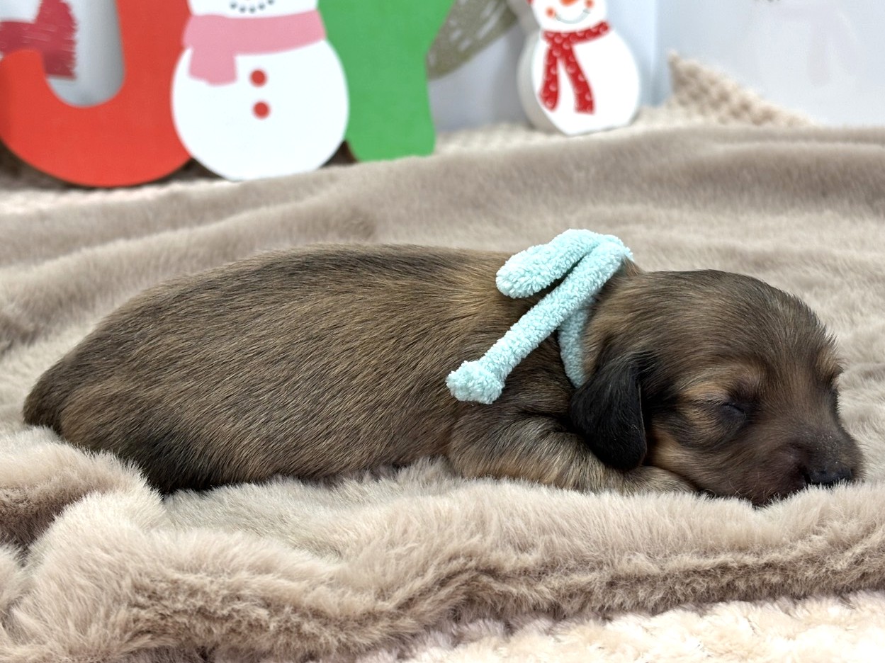 赤ちゃん写真1-2