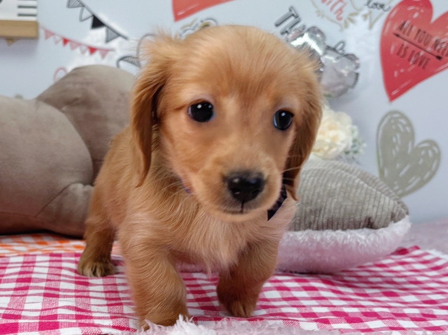 赤ちゃん写真2-1