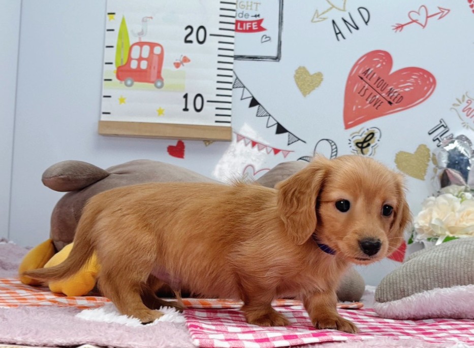 赤ちゃん写真2-2