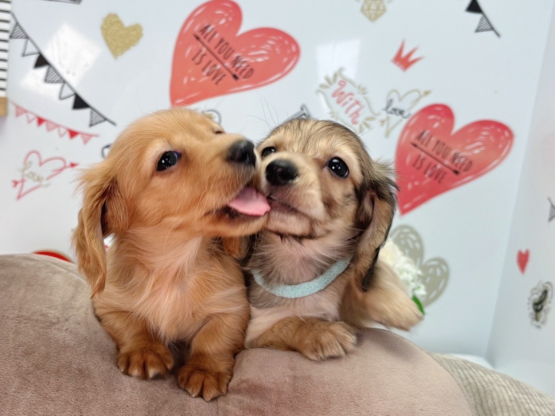 赤ちゃん写真2-3