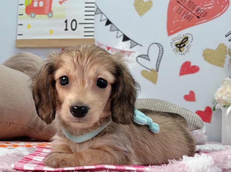 赤ちゃん写真2-1