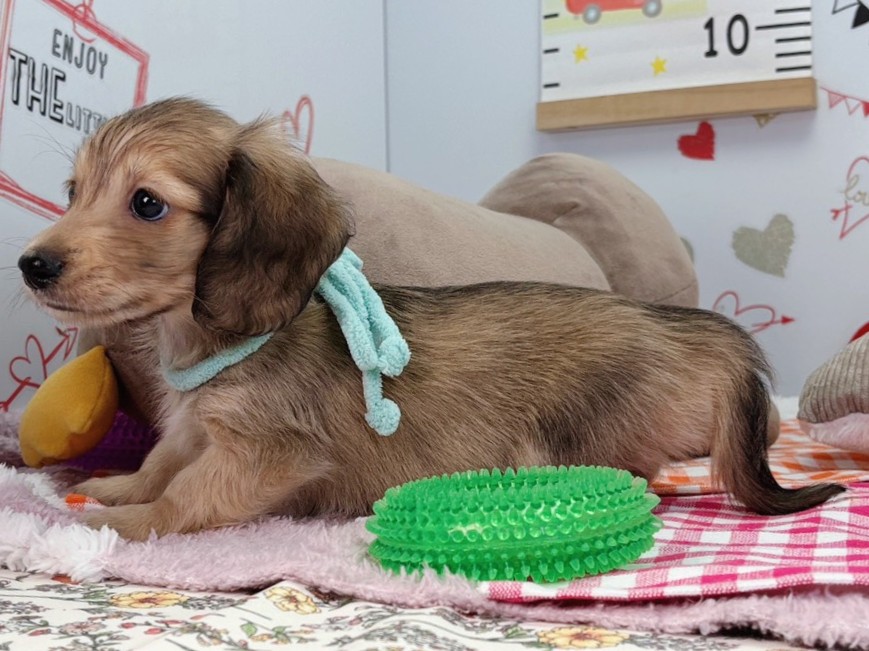 赤ちゃん写真2-2