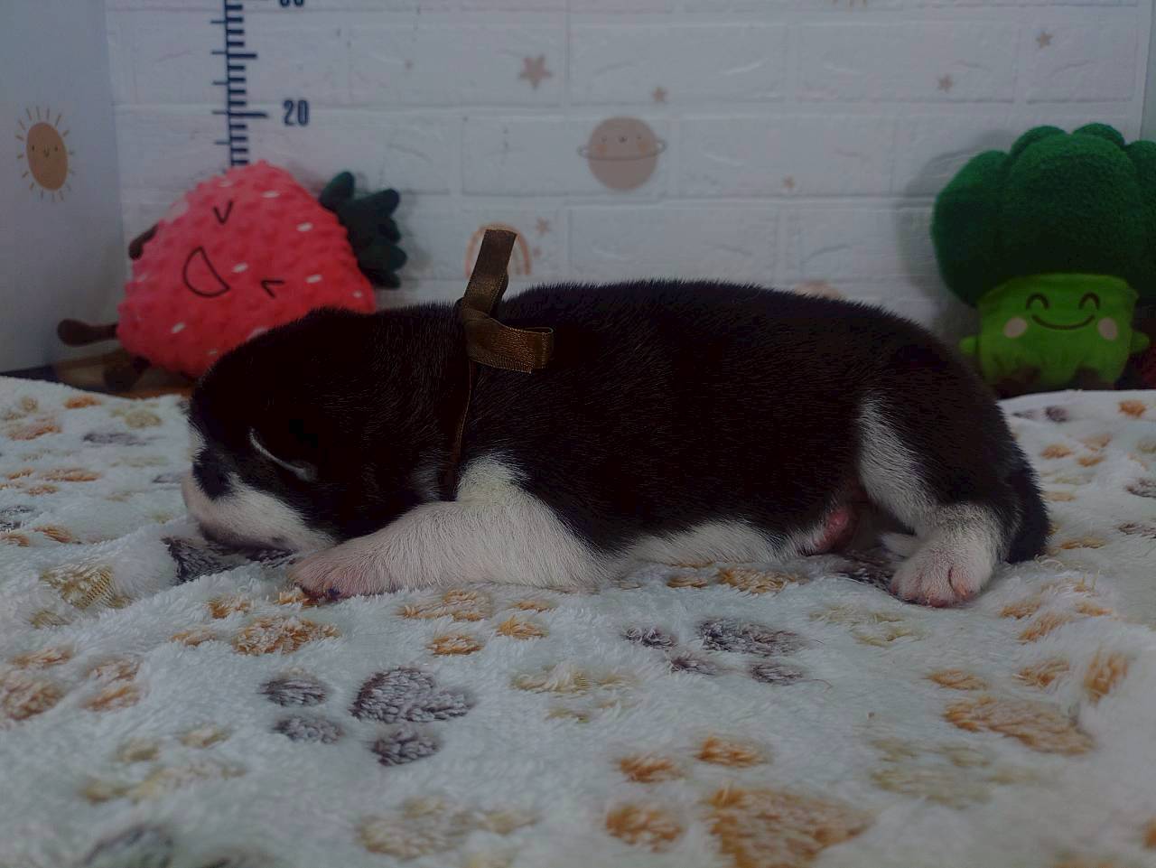 赤ちゃん写真1-2