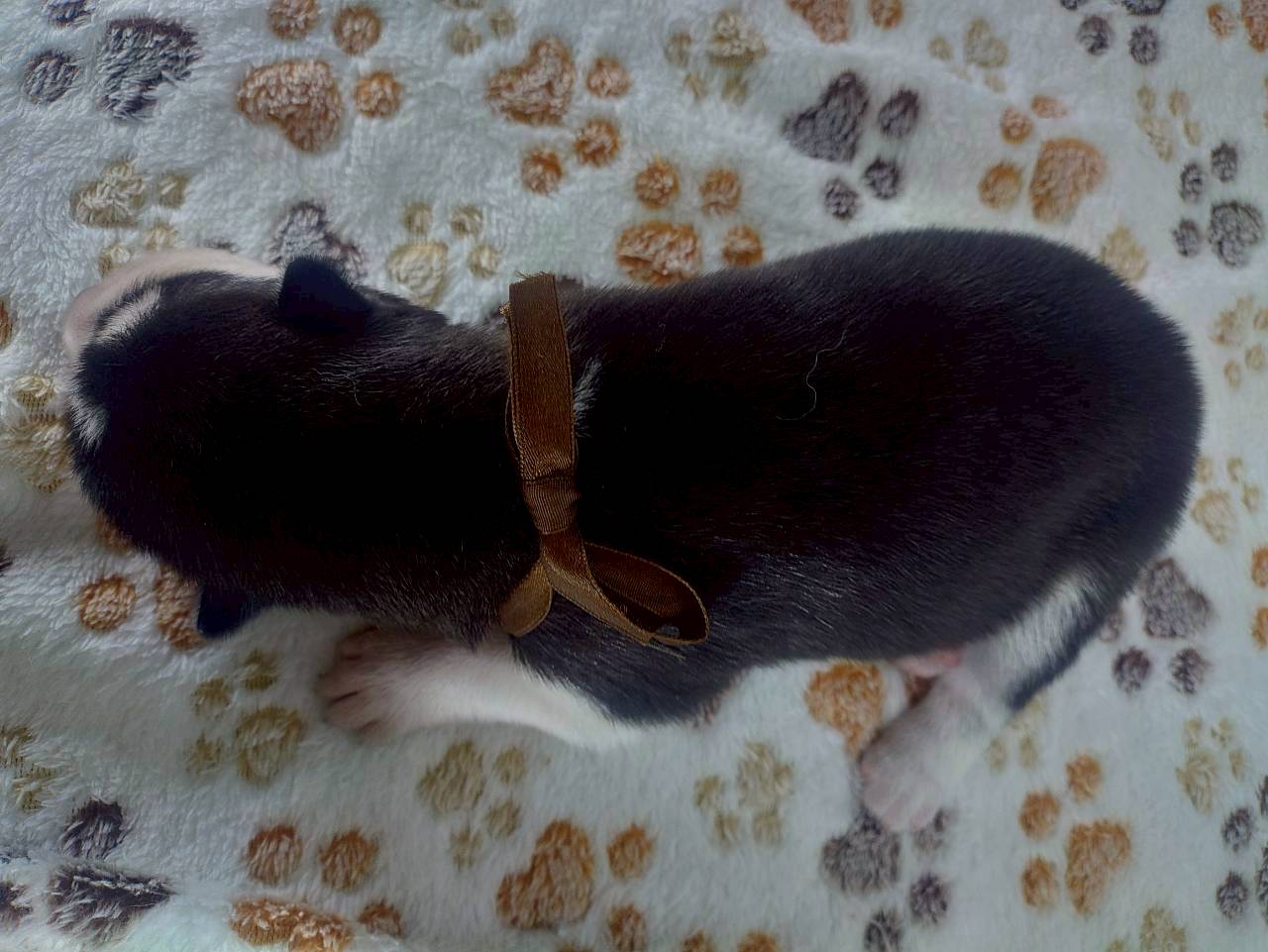 赤ちゃん写真1-3