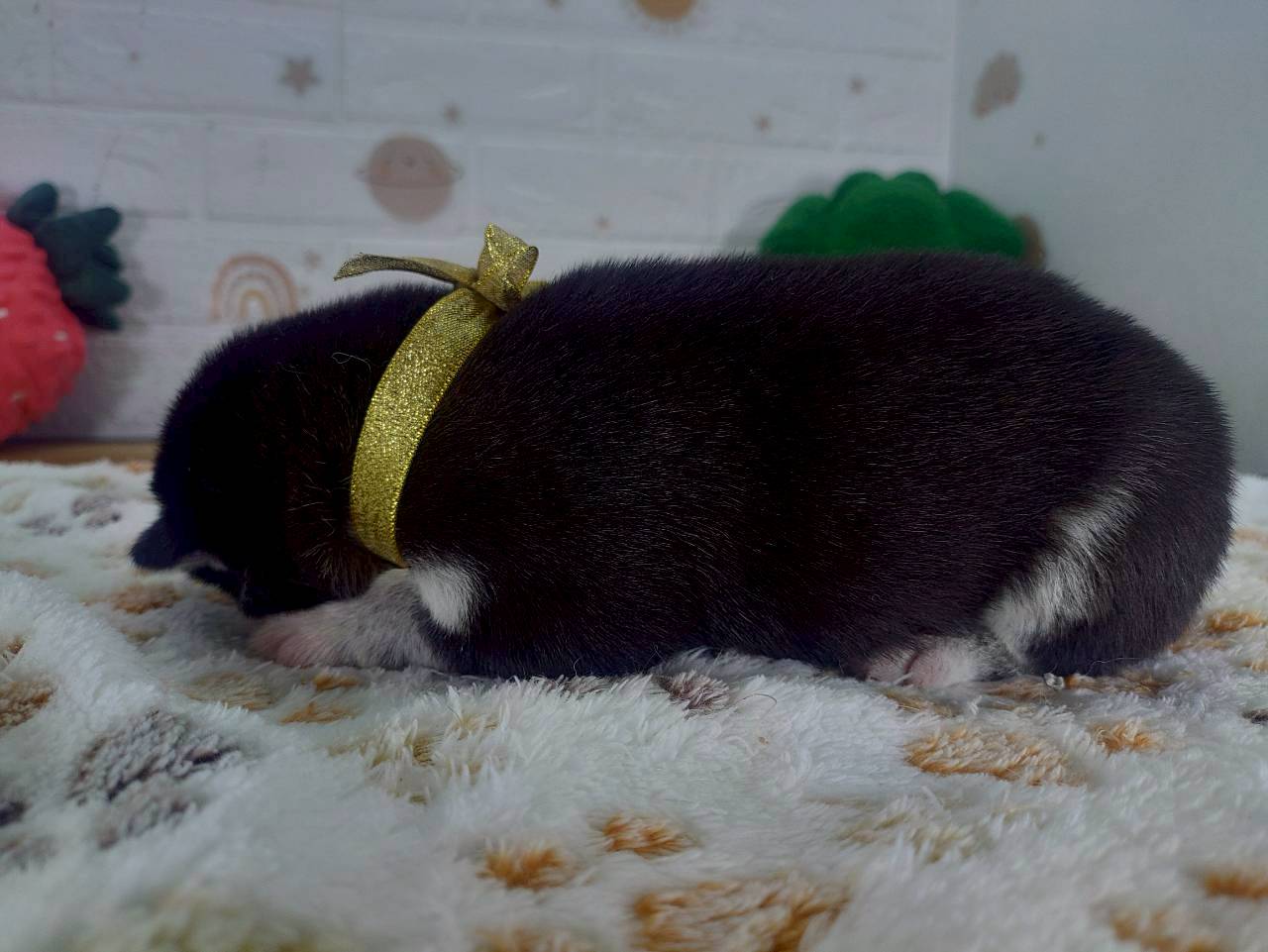 赤ちゃん写真1-2